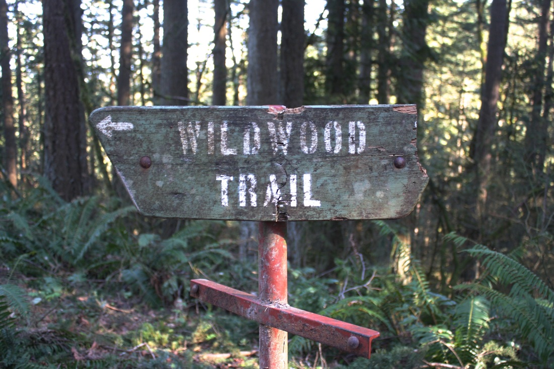 Wildwood Trial Sign